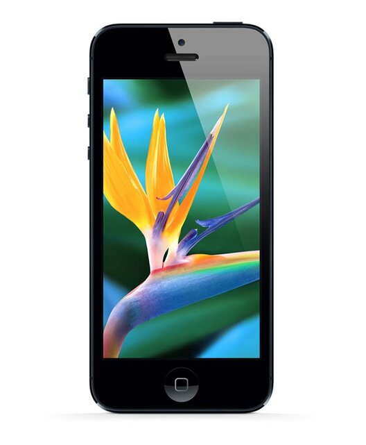 Apple iPhone 5