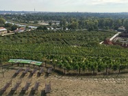 Apple iPhone 6s exteriér