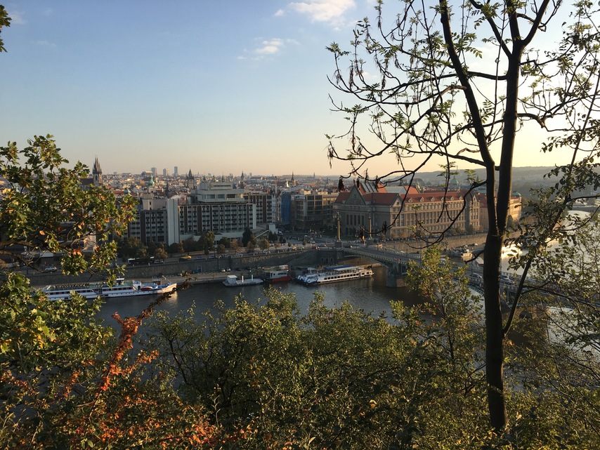 Apple iPhone 6s Plus