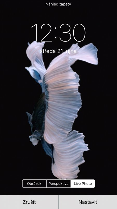 Apple iPhone 6s Plus