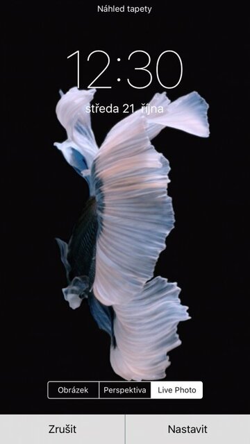 Apple iPhone 6s Plus