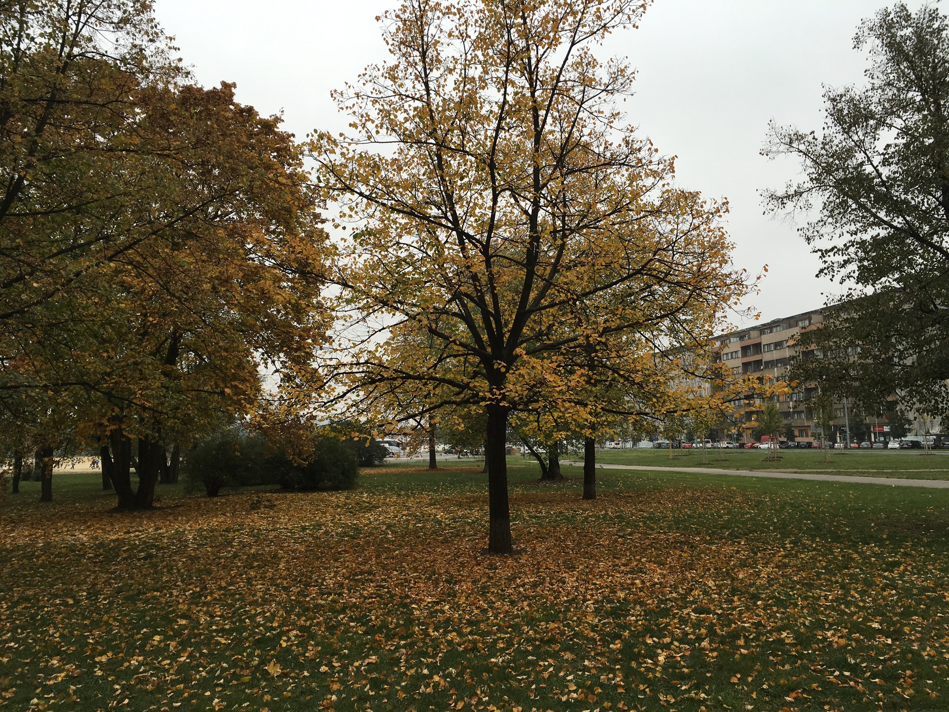 Apple iPhone 6s Plus