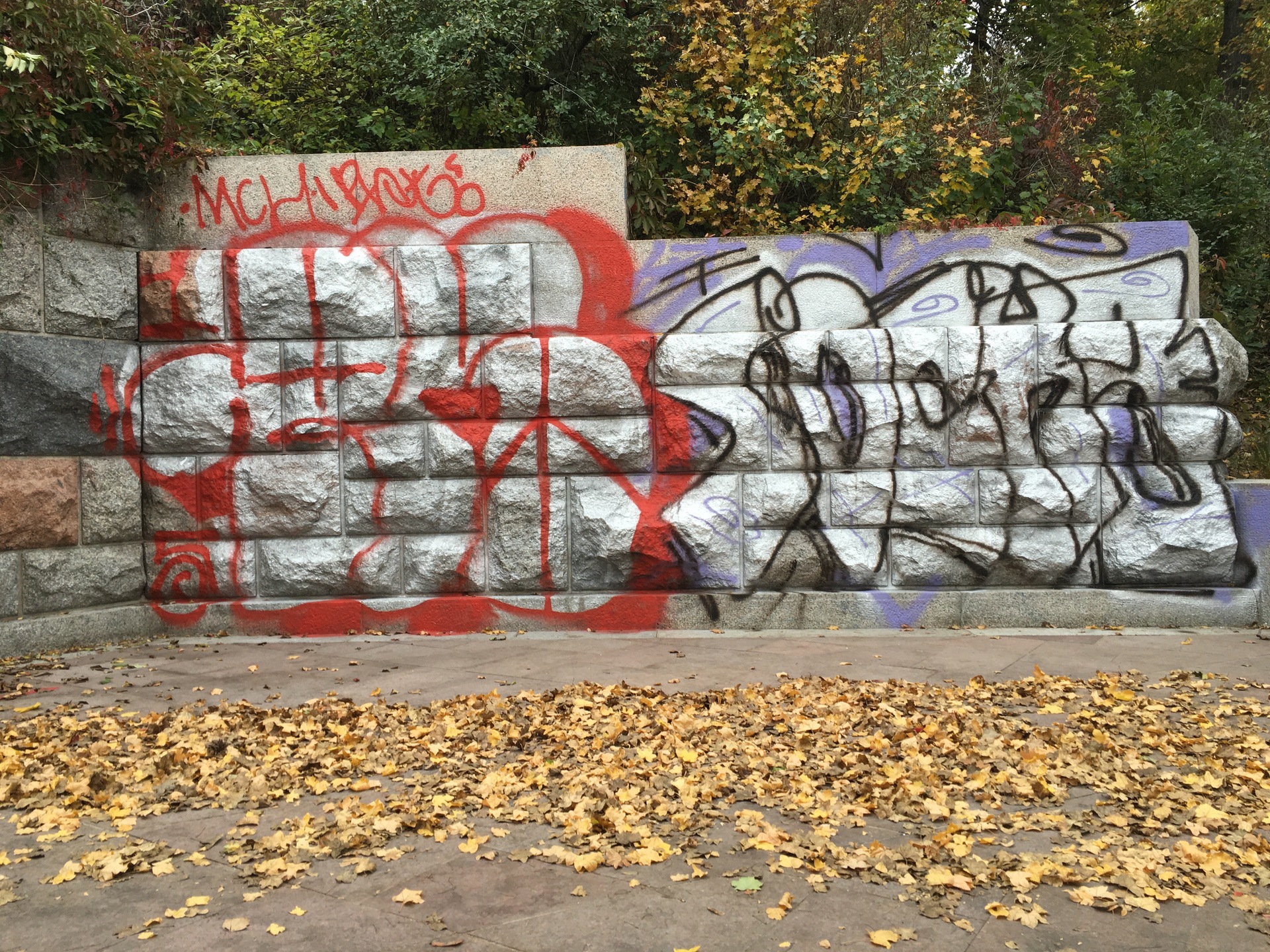 Apple iPhone 6s Plus