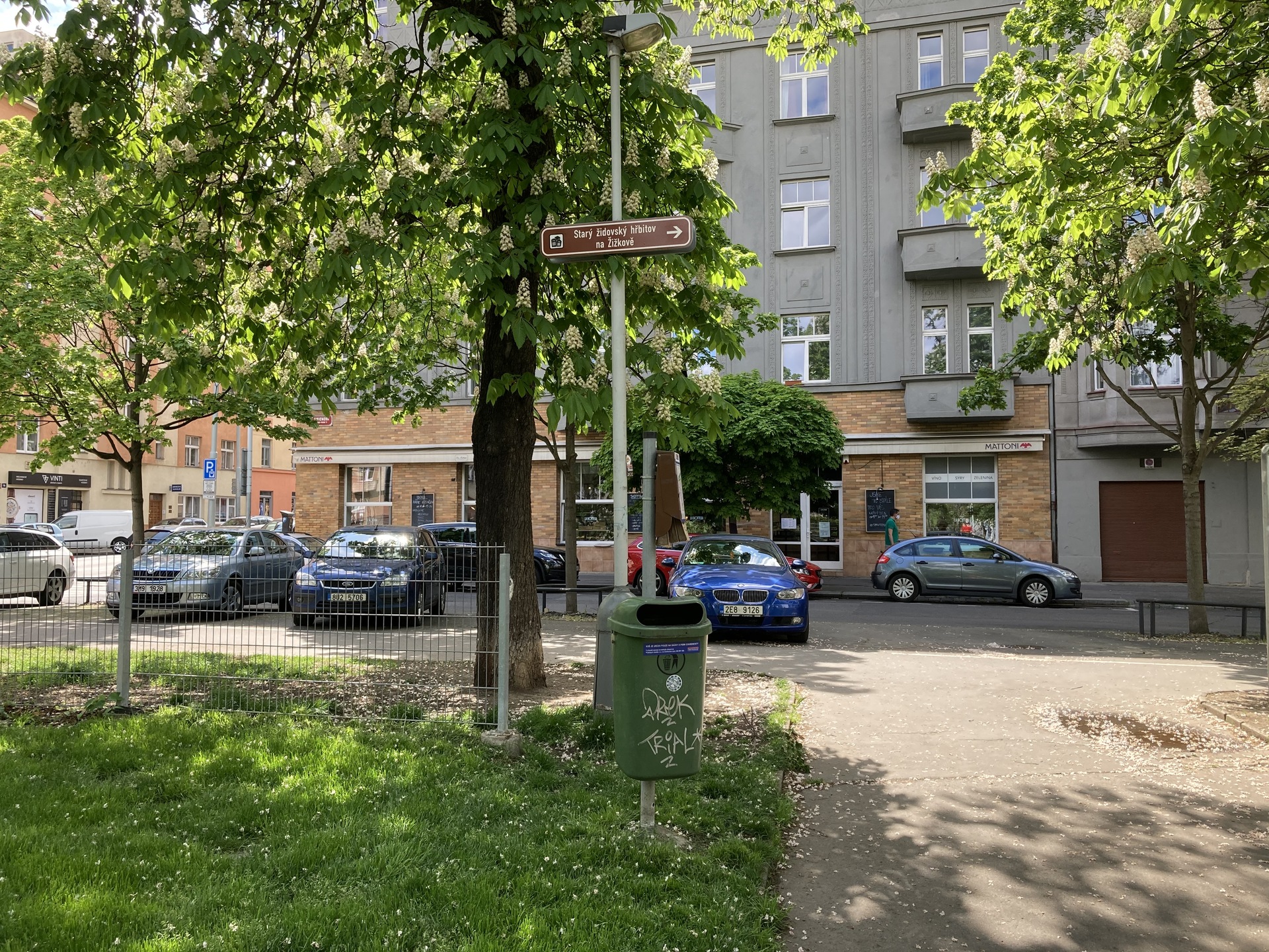 Apple iPhone SE (2020)