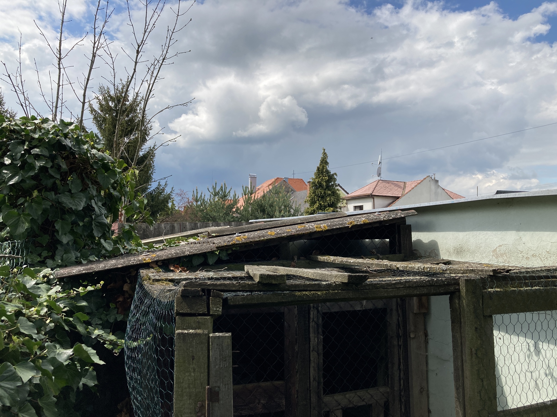 Apple iPhone SE (2020)