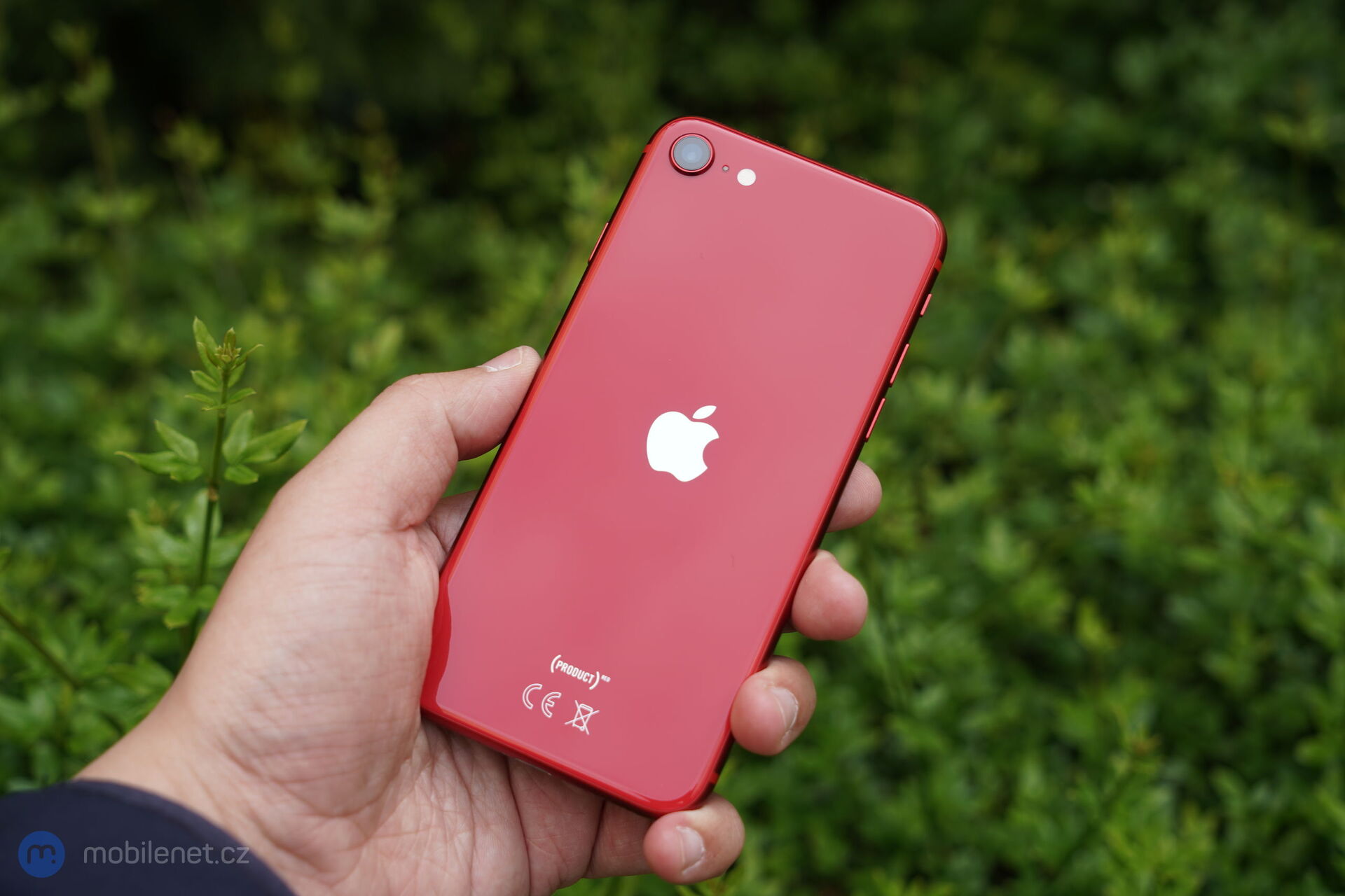 Apple iPhone SE (2020)