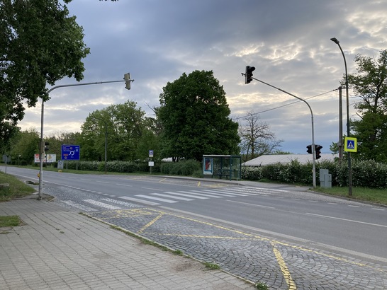 Apple iPhone SE (2020)