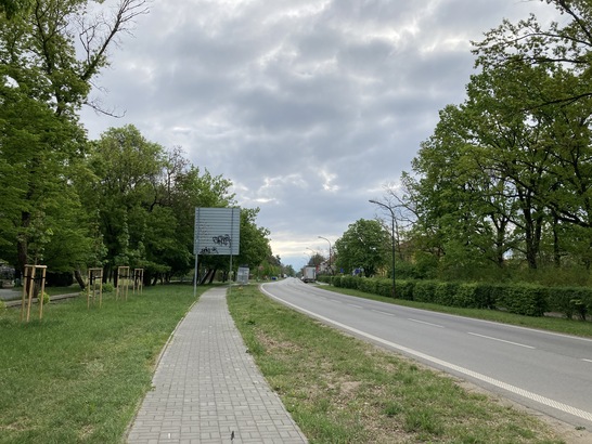 Apple iPhone SE (2020)