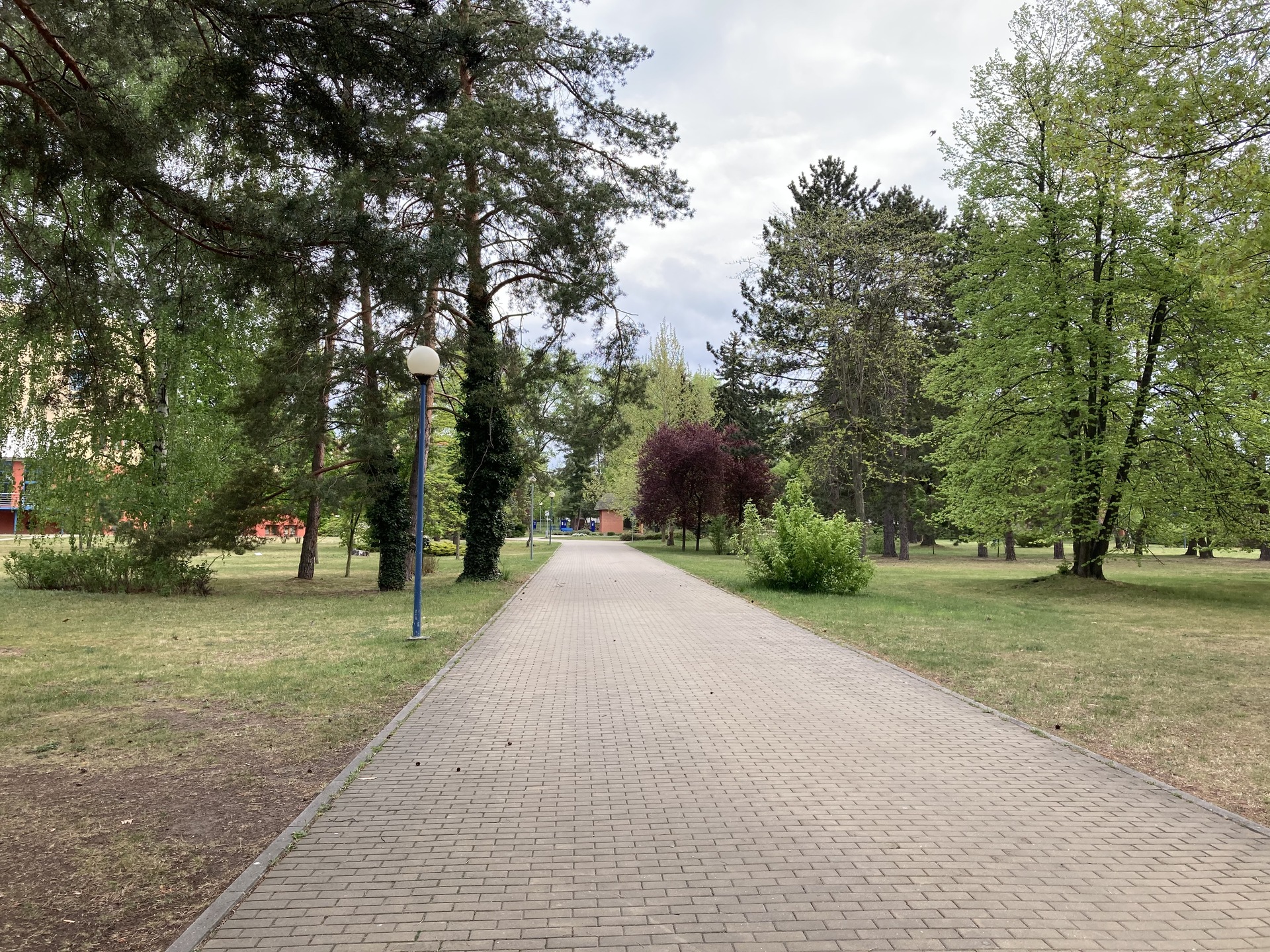 Apple iPhone SE (2020)