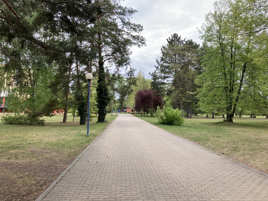 Apple iPhone SE (2020)