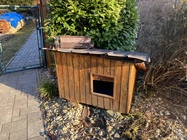 Apple iPhone SE (2020)