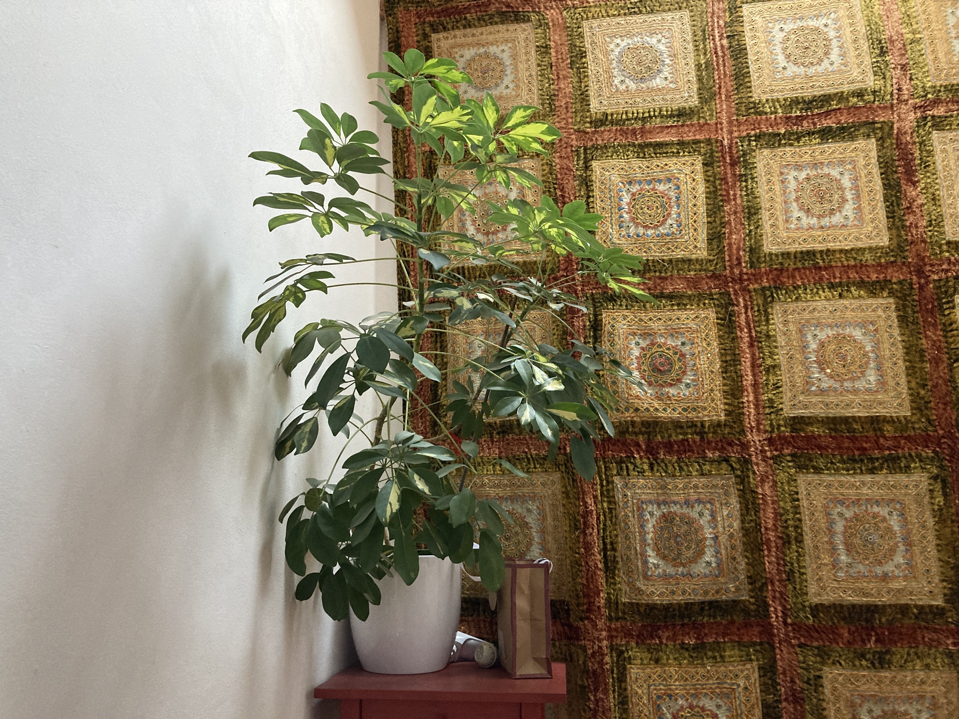 Apple iPhone SE (2020)