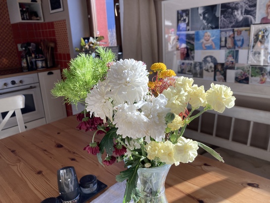 Apple iPhone SE (2020)