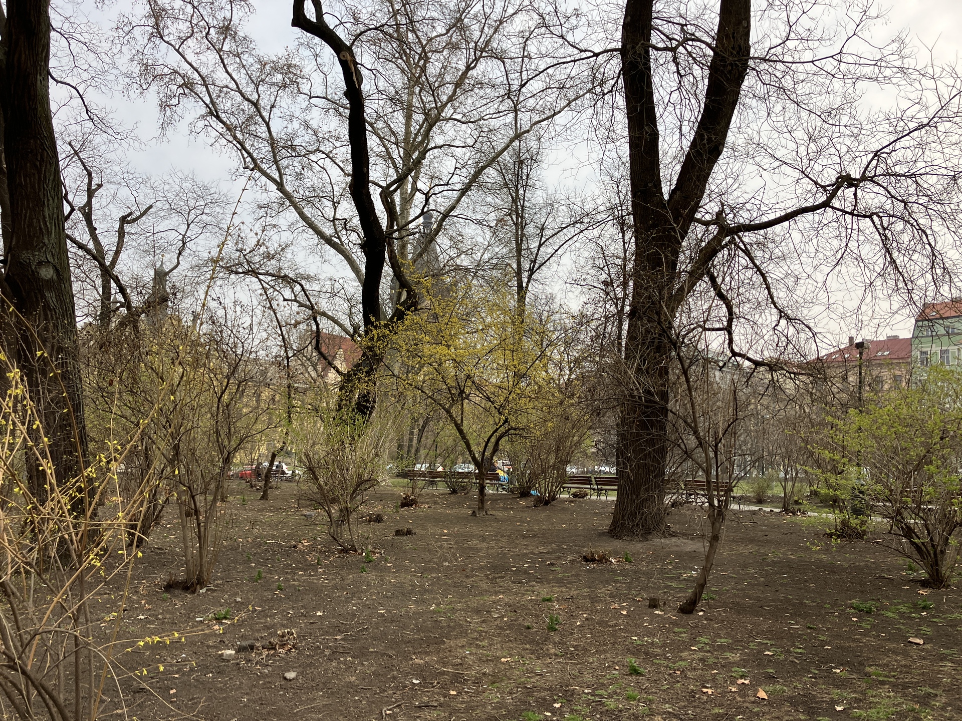 Apple iPhone SE (2022)