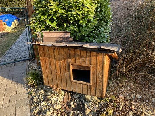 Apple iPhone SE (2022)