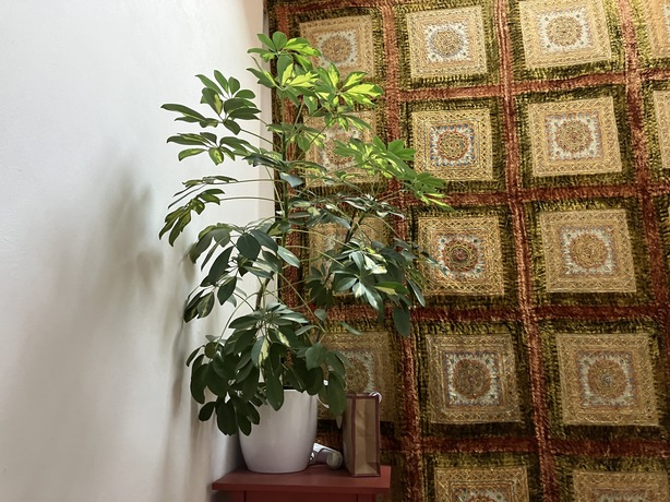 Apple iPhone SE (2022)