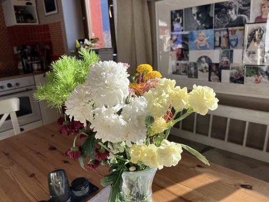 Apple iPhone SE (2022)