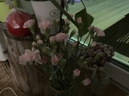 Apple iPhone SE (2022)