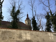 Apple iPhone SE (2022)