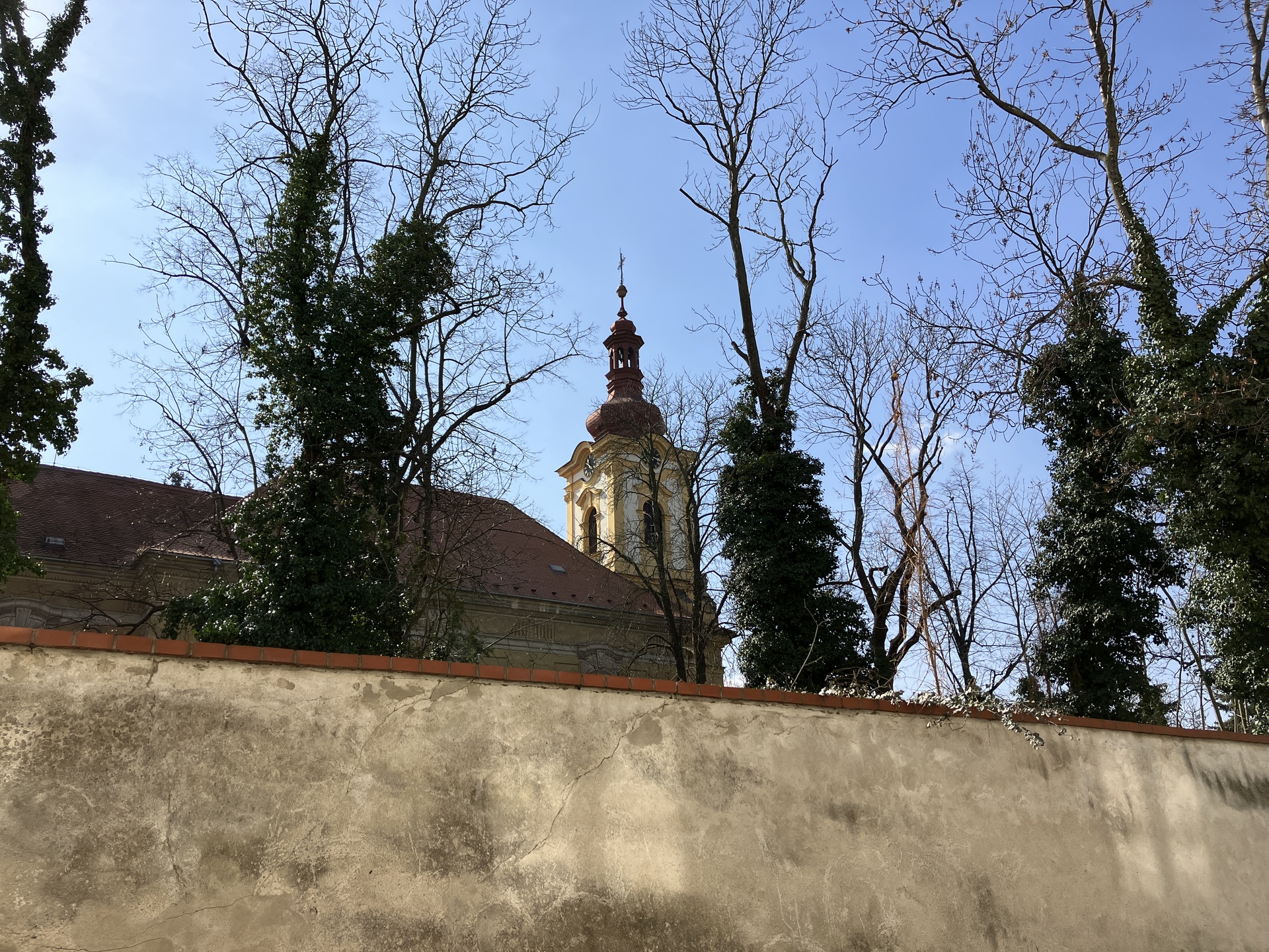 Apple iPhone SE (2022)