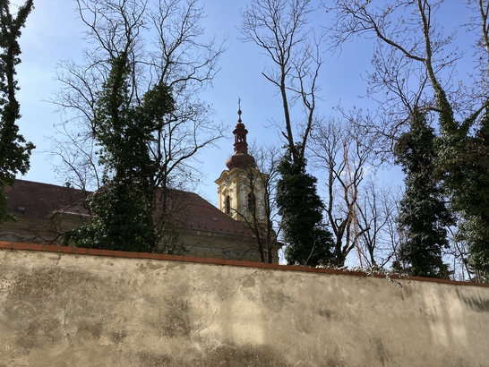 Apple iPhone SE (2022)