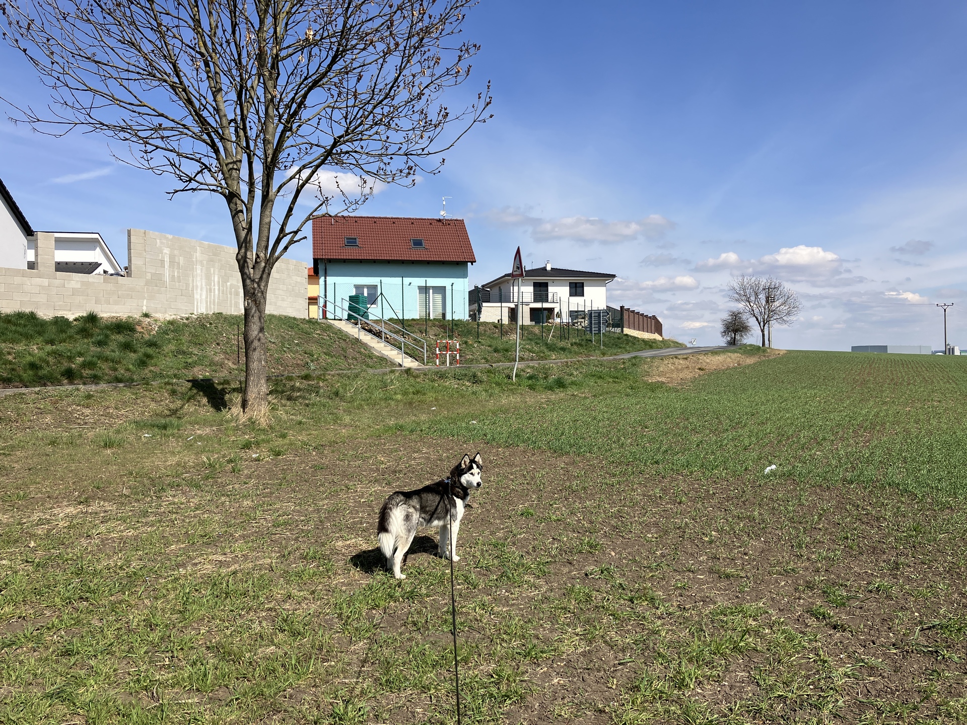 Apple iPhone SE (2022)