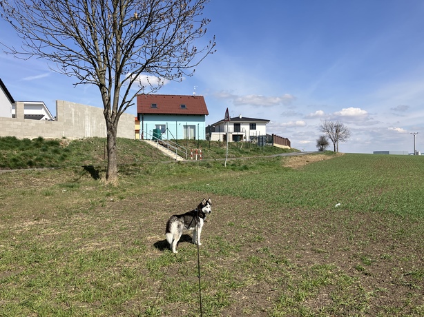 Apple iPhone SE (2022)