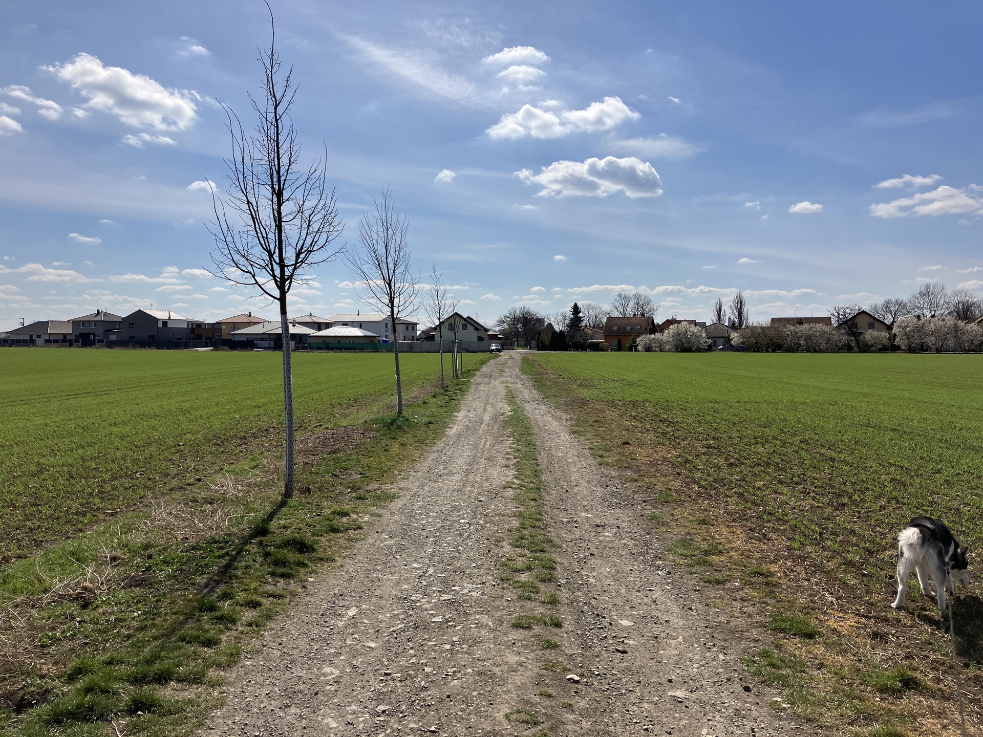 Apple iPhone SE (2022)