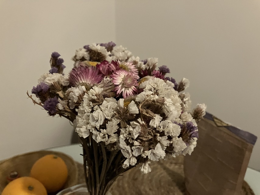 Apple iPhone SE (2022)