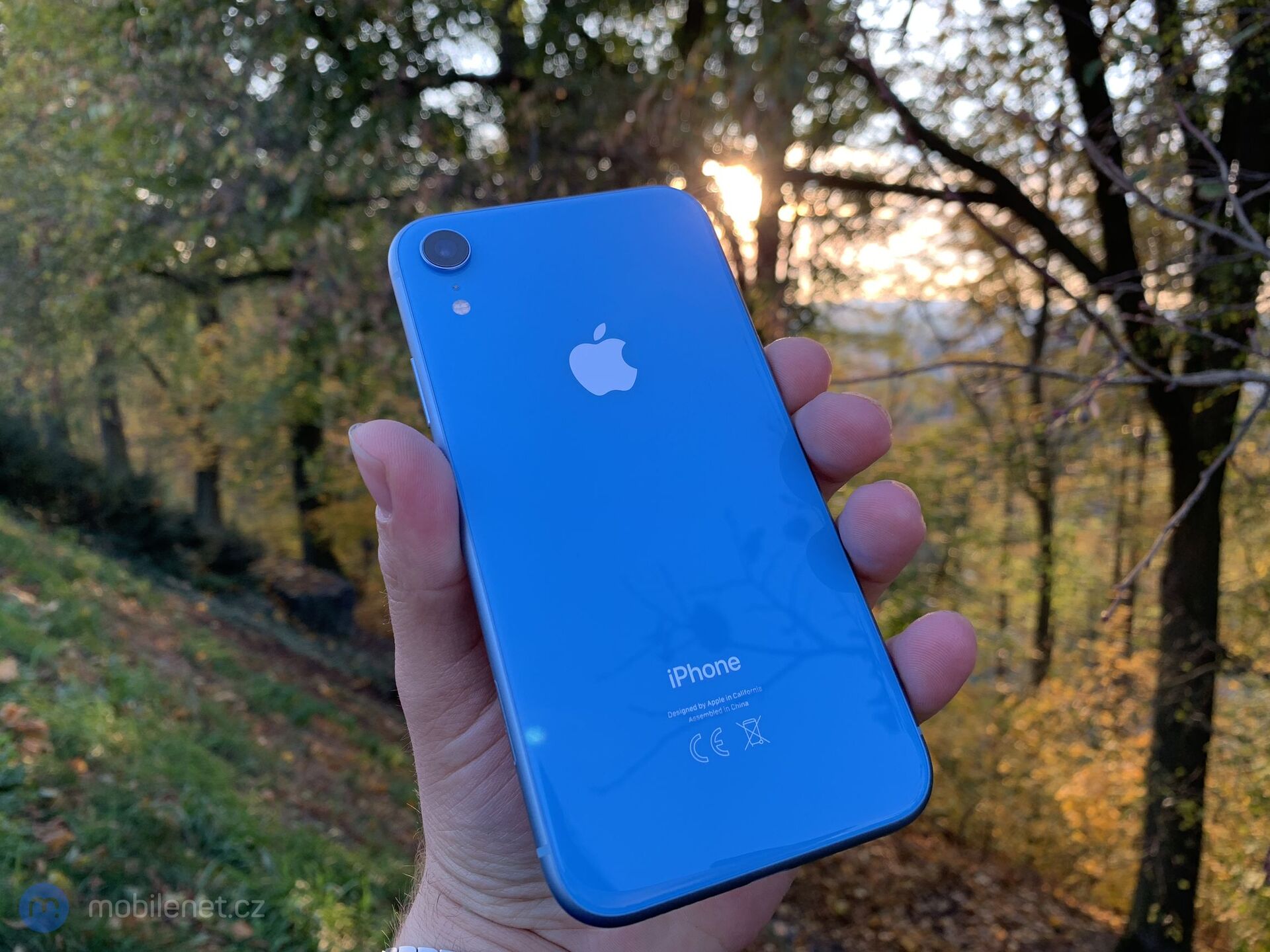 Apple iPhone Xr