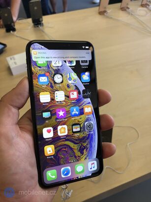 Apple iPhone Xs