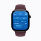 Apple Watch 12