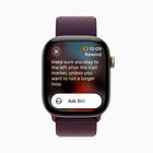 Apple Watch 12