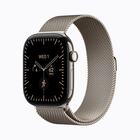 Apple Watch 12