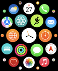 Apple Watch 8