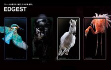 AQUOS Phone Xx 302sh