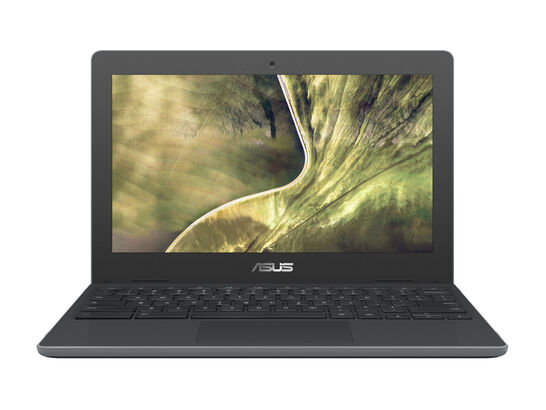 ASUS Chromebook C204