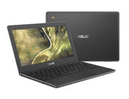 ASUS Chromebook C204