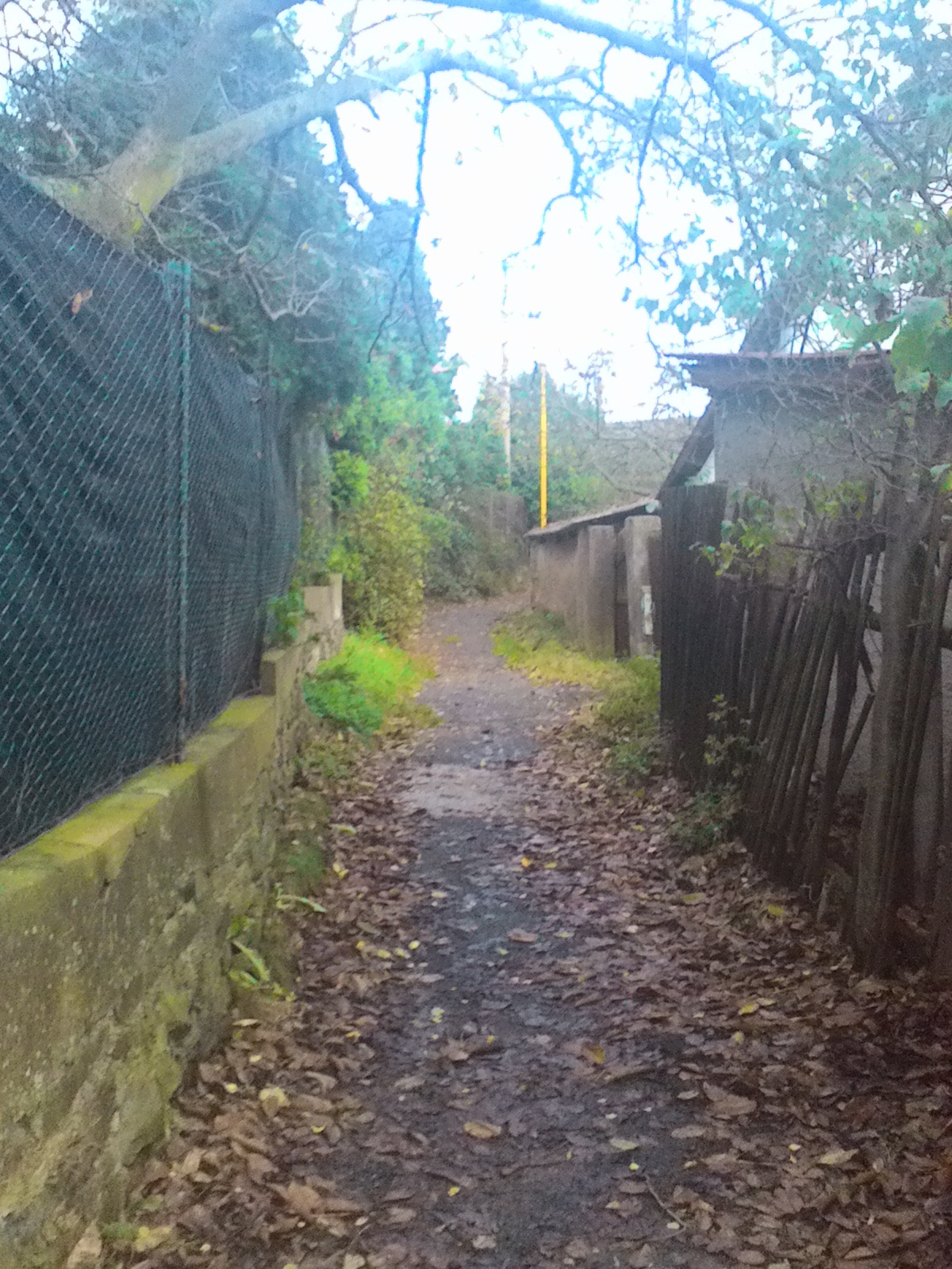 ASUS FonePad 7 FE170CG