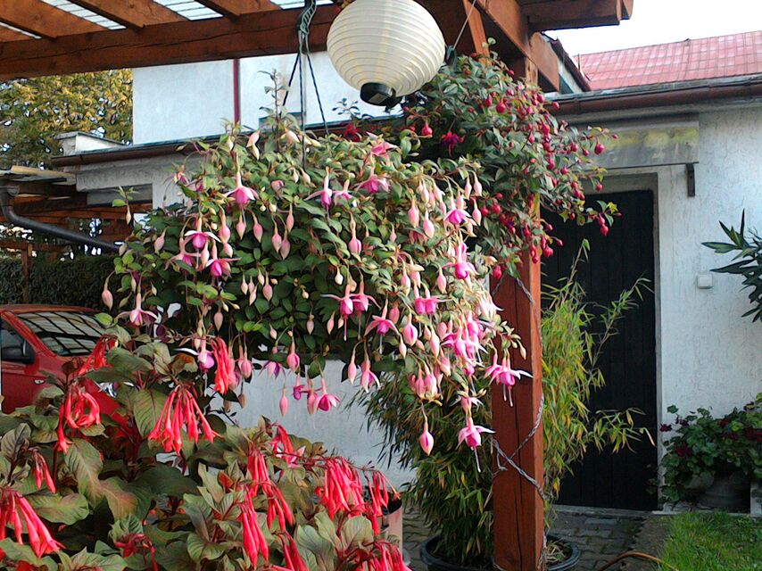 ASUS MeMO Pad 7 ME176CX