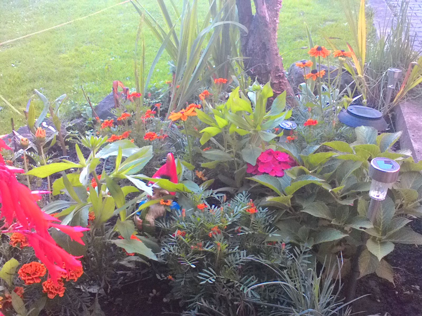 ASUS MeMo Pad 7 ME70C