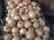 ASUS MeMo Pad 7 ME70C