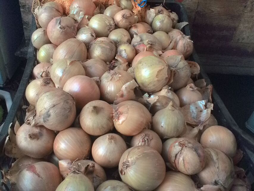 ASUS MeMo Pad 7 ME70C