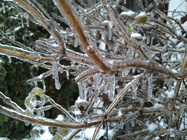 ASUS MeMO Pad 8 (ME581C)