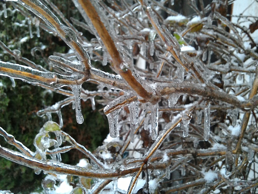 ASUS MeMO Pad 8 (ME581C)