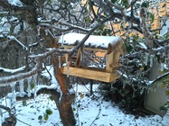 ASUS MeMO Pad 8 (ME581C)