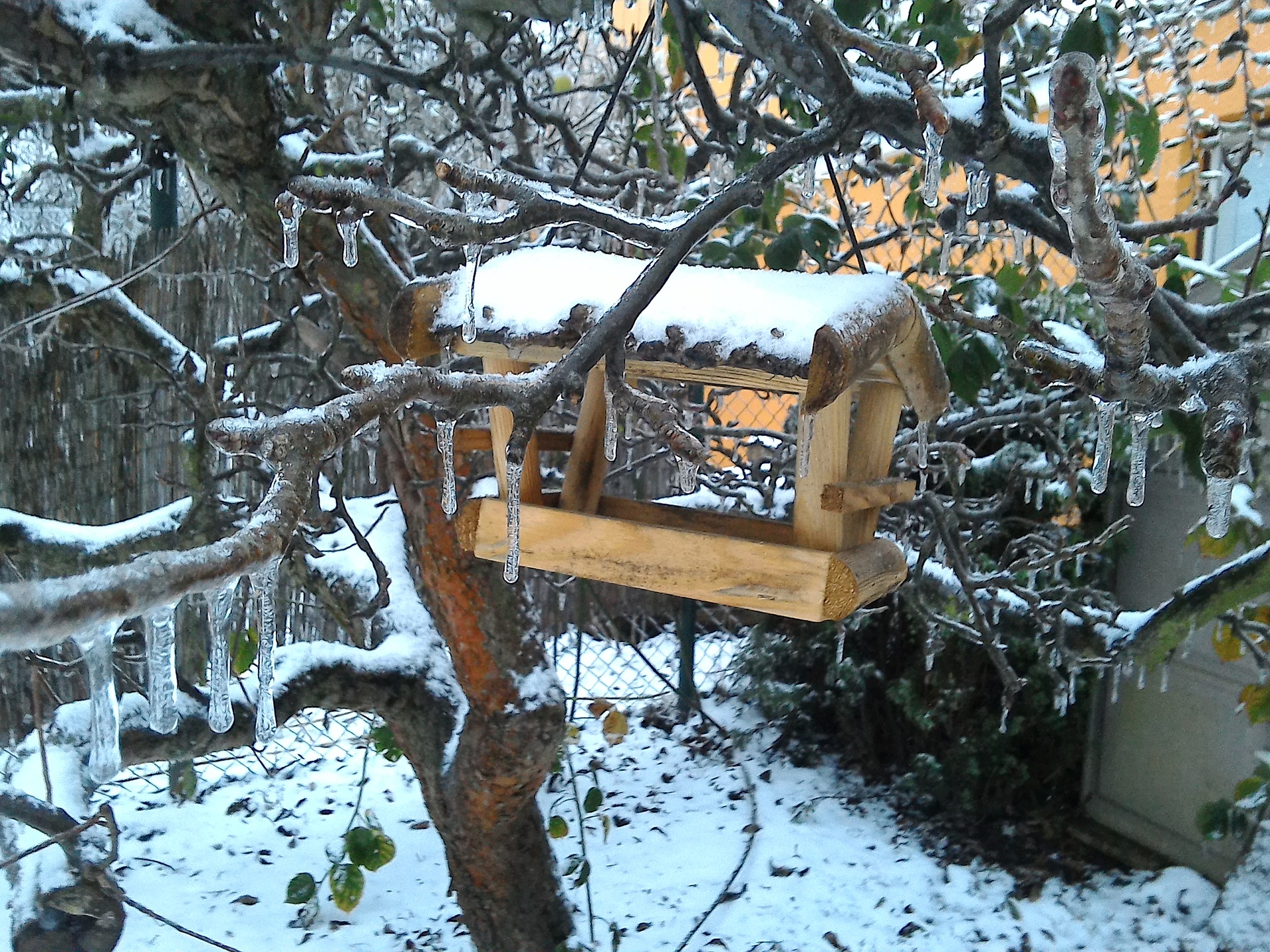 ASUS MeMO Pad 8 (ME581C)