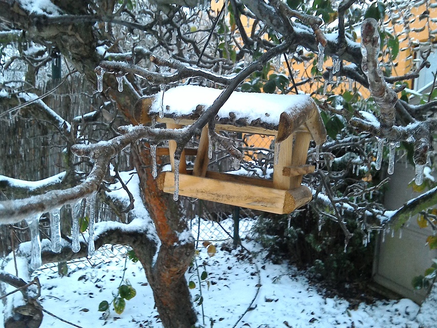 ASUS MeMO Pad 8 (ME581C)