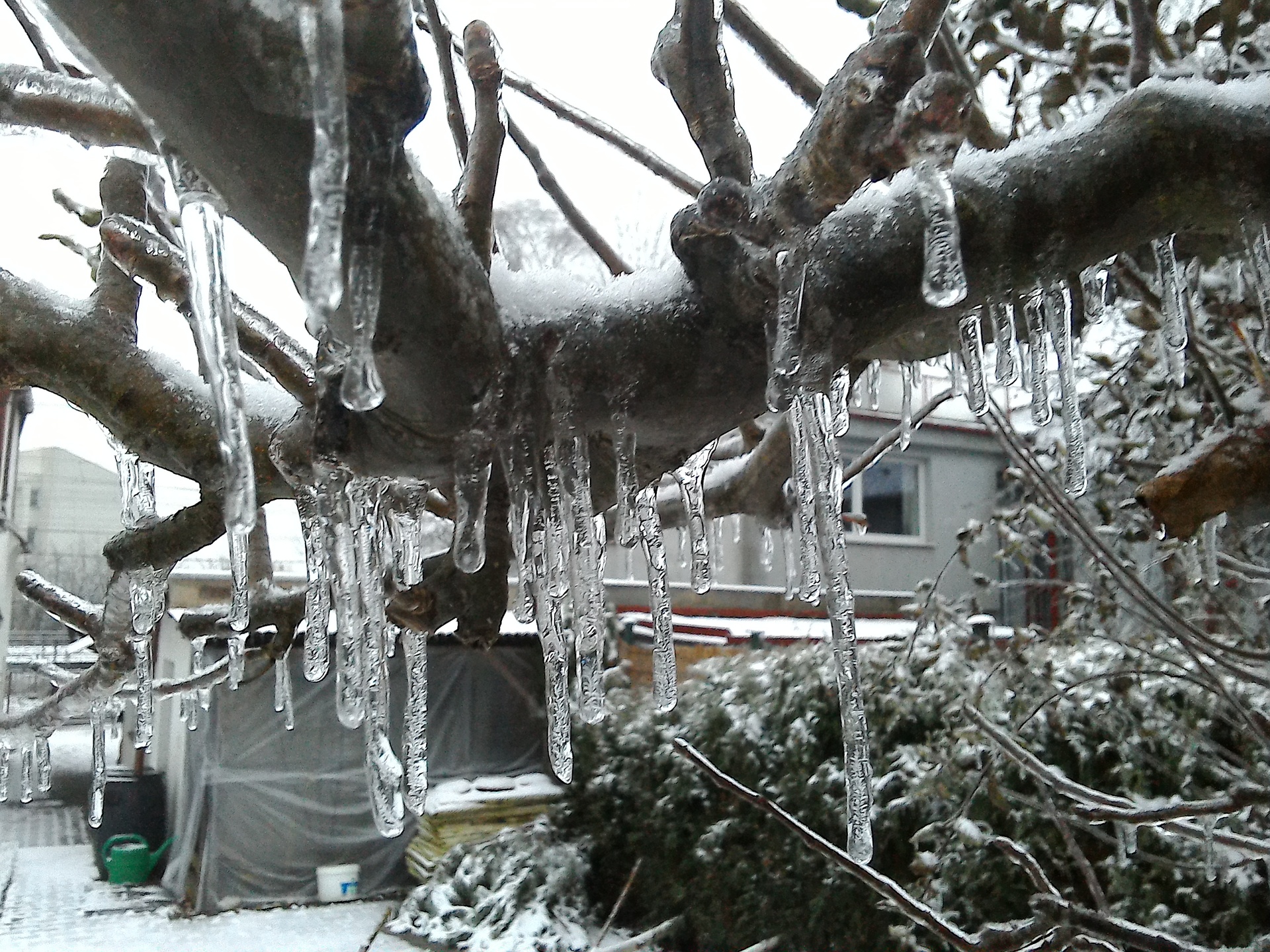 ASUS MeMO Pad 8 (ME581C)