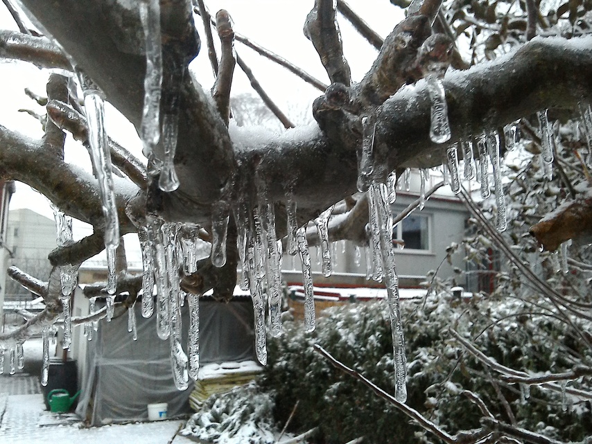 ASUS MeMO Pad 8 (ME581C)